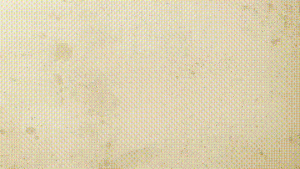 de betere schilder magazine  progressie recessie   intro animatie [23 11 2022][540p]